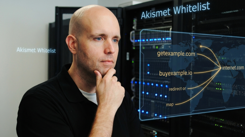 301ing Typing Traffic Domains