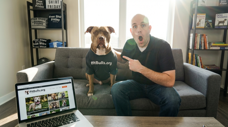 PitBulls.org - Free Shirt Friday